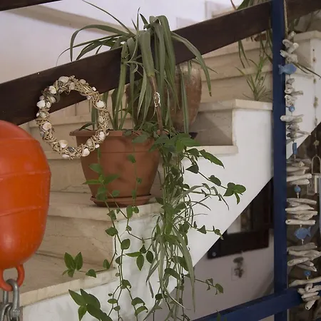 Πανσιόν Angelika 3*