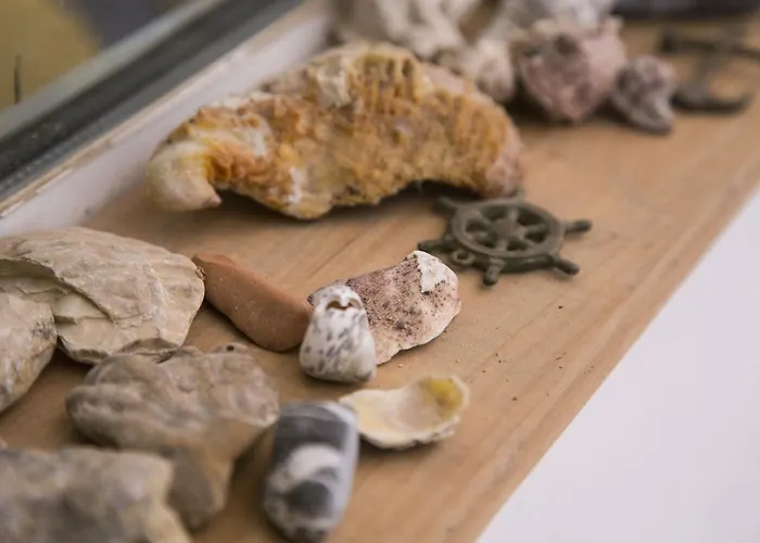 Angelika בית הארחה