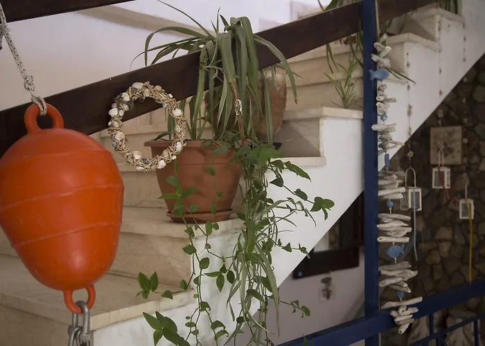 Casa de hóspedes Angelika 3*